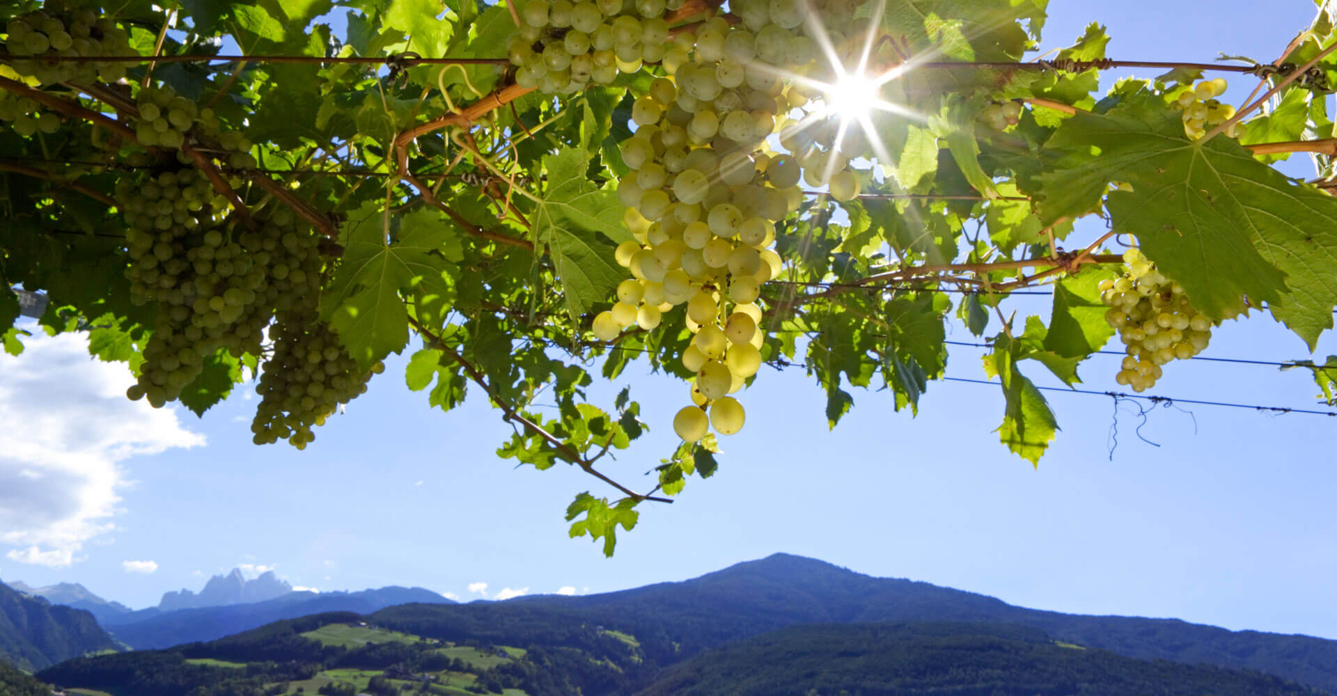 Landurlaub Feldthurn auf dem Schlauraufhof / Eisacktal - Südtirol