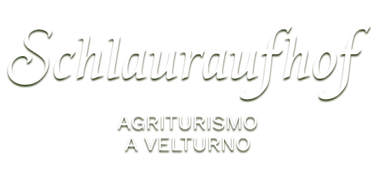 Vacanze al Schlauraufhof a Velturno