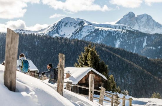 schlaufraufhof-feldthurns-eisacktal-suedtirol (13)