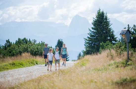 schlaufraufhof-feldthurns-eisacktal-suedtirol (46)