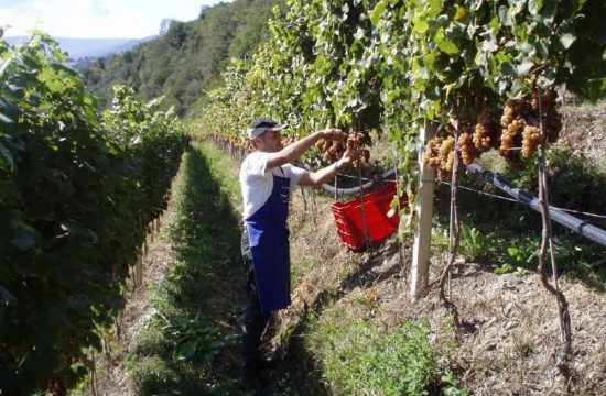 Schlauraufhof a Velturno / Valle Isarco (8)